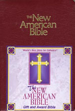 NAB Gift and Award Bible Burgundy Imitation Leather W2402BG - Image 2