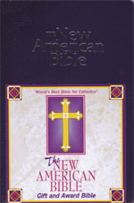 NAB Gift And Award Bible Blue Imitation Leather W2402BLU