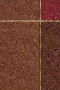 The Message - Large Print (12.5 Point) - Brown Trio Leather-Look