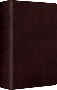 ESV Large Print (12 pt.) Personal Size Bible - TruTone Mahogany