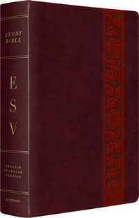 ESV Study Bible Large Print (10.75Pt) TruTone Mahogany Trellis Design E54517