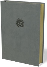 ESV New Reformation Study Bible Light Gray Leatherlike