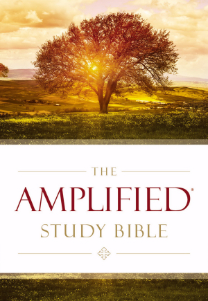 Amplified (Revised) Large Print (11 pt.) Study Bible