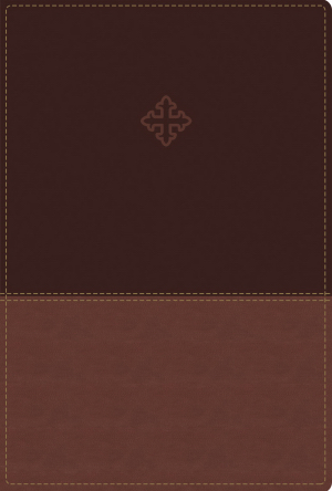 Amplified (Revised) Large Print (11 pt.) Study Bible Brown Leathersoft