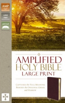 Amplified Bible Large Print (12 pt.) Burgundy Bonded Leather New Edition