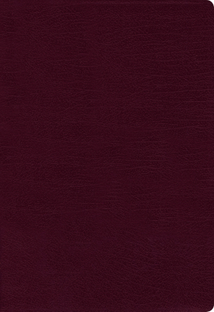 NIV Thinline Bible/Giant Print (Comfort Print 14 pt.) Burgundy Bonded Leather Indexed