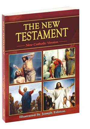 NCV - The New Testament (Study Edition) Paperback (311-04)