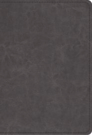 ESV Student Study Bible Grey TruTone