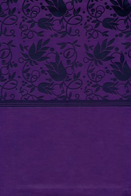 NIV Holman Rainbow Study Bible-Purple LeatherTouch Indexed NEW DESIGN