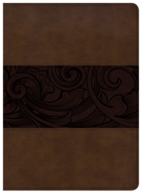 CSB Study Bible (9.5 pt.text) Mahogany LeatherTouch