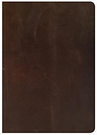 CSB She Reads Truth Bible Brown Genuine Leather Thumb Indexed
