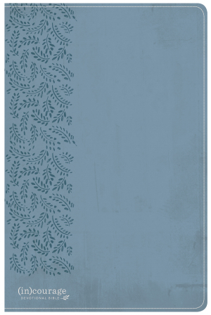 CSB (in)courage Devotional Bible Blue LeatherTouch