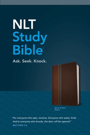 NLT Study Bible-Brown Slate TuTone