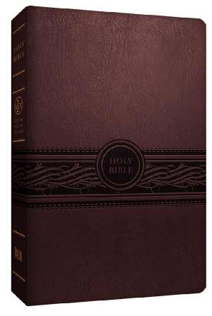 MEV (Modern English Version) Personal Size Large Print (12 pt.) Bible Cherry Brown Leatherlike