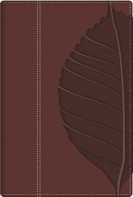 Biblia de Estudio Vidas Transformadas-Rvr 1960