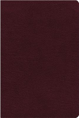 NIV, Thinline Reference Bible, Large Print, Bonded Leather, Burgundy, Red Letter Edition, Indexed, Comfort Print