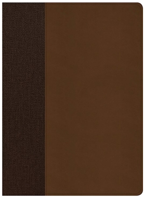 CSB Life Essentials Study Bible-Brown LeatherTouch